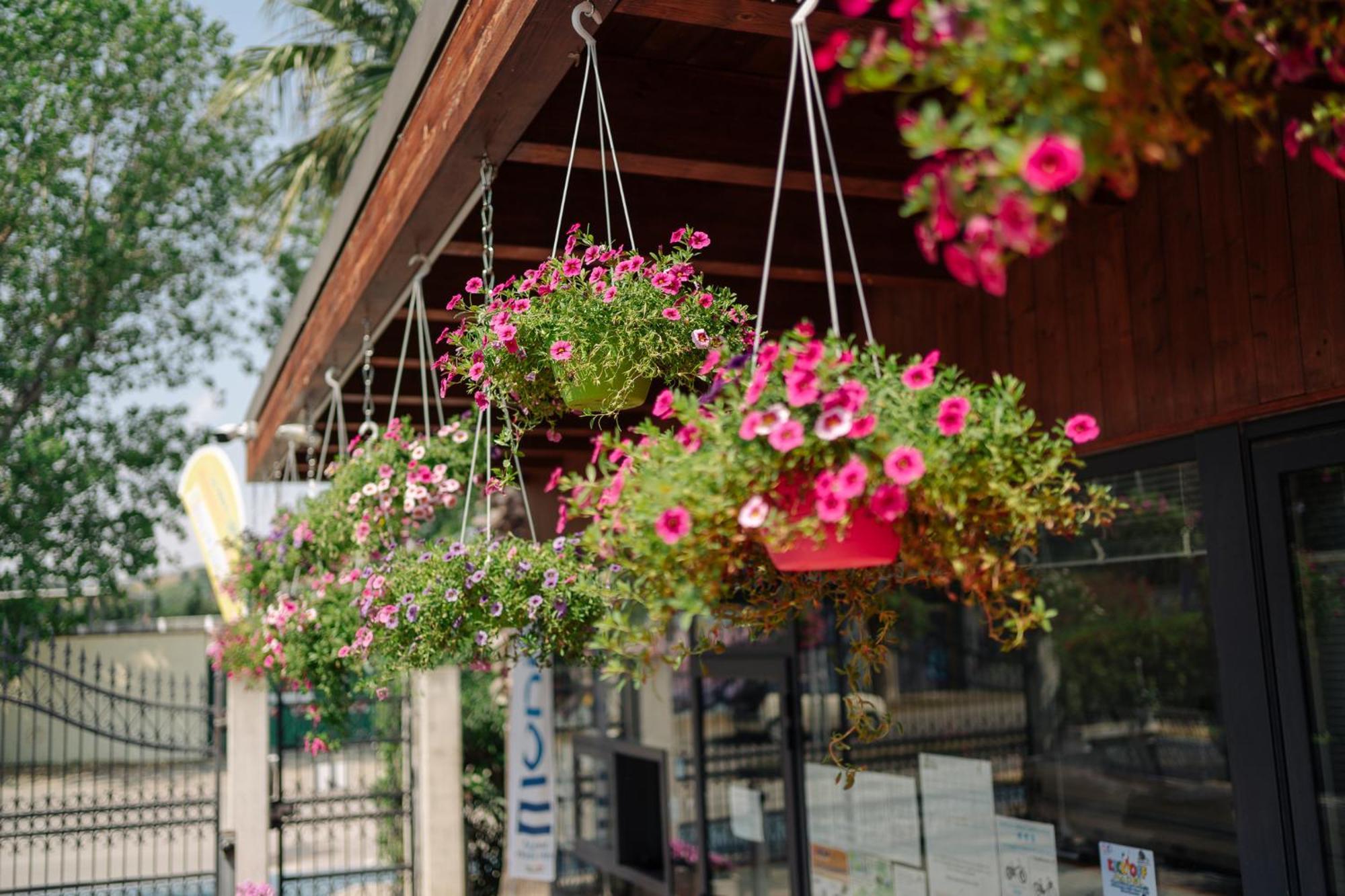 Village Lake Placid Silvi Marina Ngoại thất bức ảnh